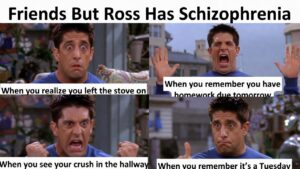 friends but ross has schizophrenia