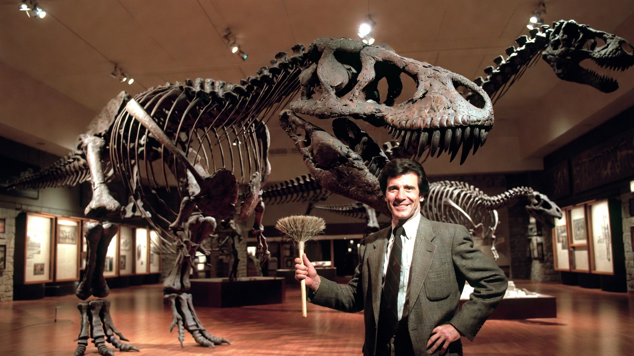 Ross Geller standing beside dinosaur fossils in a museum in Friends